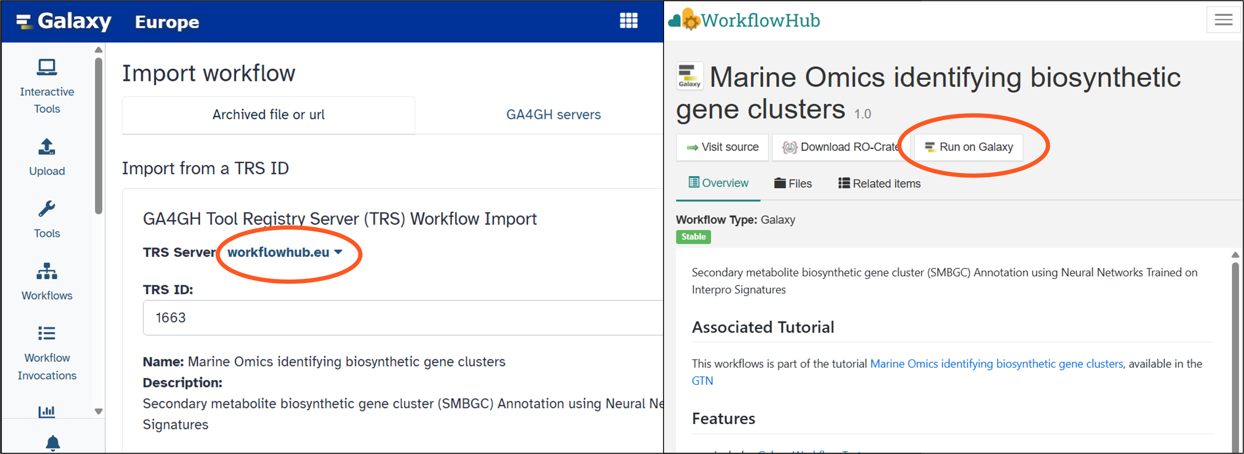On the left, the Galaxy workflow import page showing workflowhub.eu circled as the TRS Server source. On the right, a workflow page on WorkflowHub with the 'Run in Galaxy' button circled.
